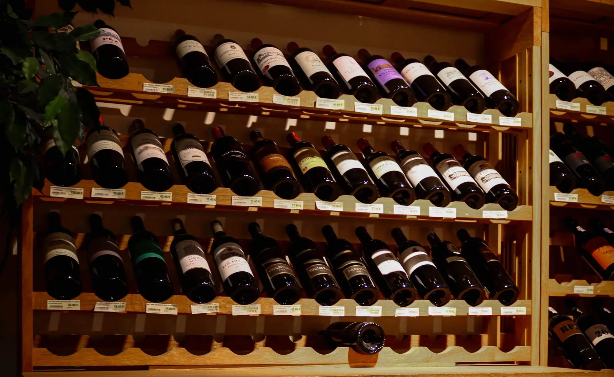 Rayonnage de bouteilles de vin dans un magasin.